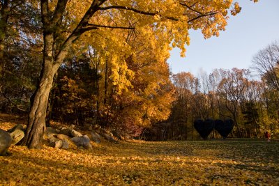 South lawn in the fall