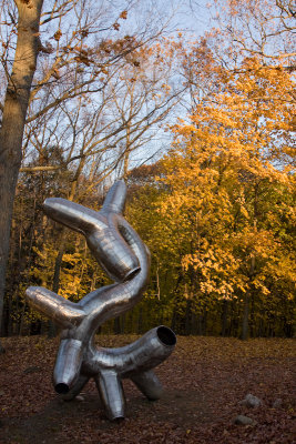 Reflex by Michael Hansel