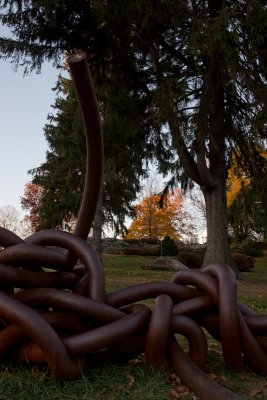 Knot by Cosimo Cavallaro