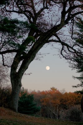 Moonrise at the Decordova