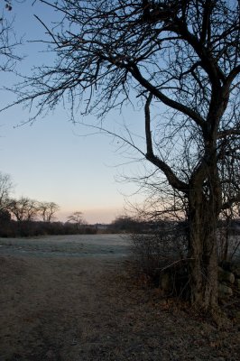 Early light, Cox reservation