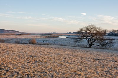 Ebben creek, frosty morning