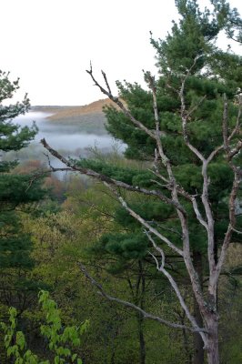 Down the Blackstone River Valley