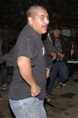 7631.jpg