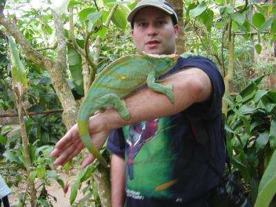 Our guide Adam with a Parson's chameleon
