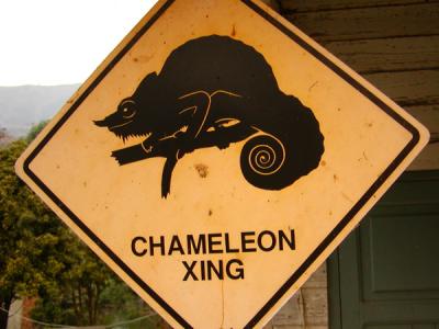 Would have liked to have taken this sign home