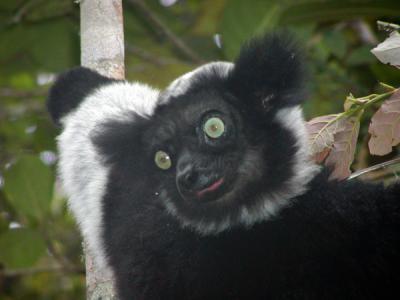 Madagascar Nov 2005