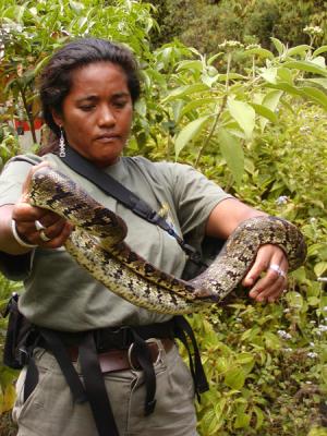 Snakes