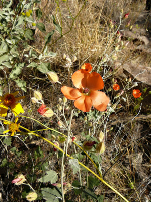 P1020739 pbase.jpg