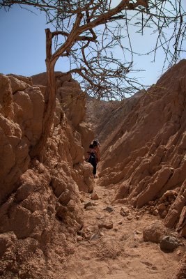 Canyons of Sinai Desert