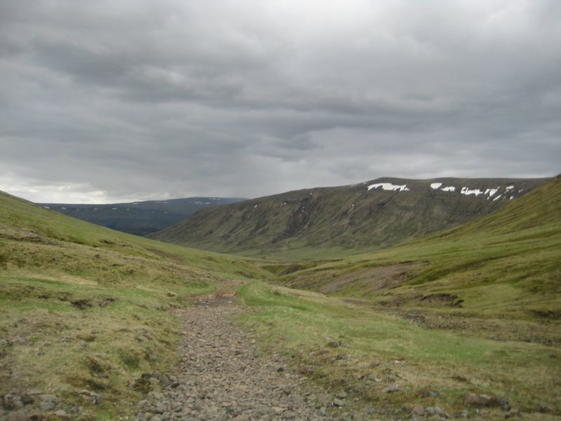 Svnadalur framundan