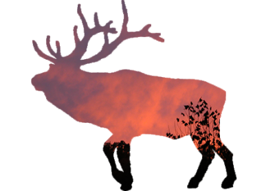 Sunset Elk.png