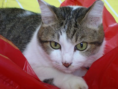 g3/12/372012/3/101726536.nCfTzpmy.jpg