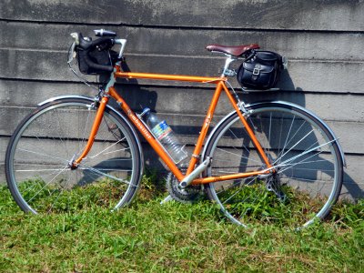Rambouillet with classic Brooks bags