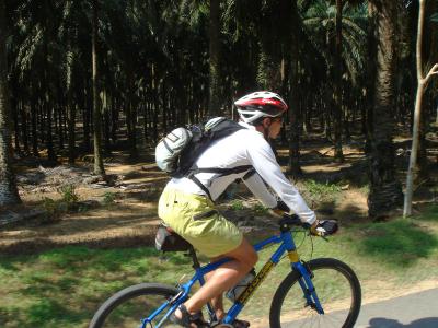 riding thru oil palm plantation towards Masai