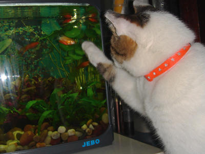 ooh.. i want that one...