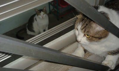 aww... come out and play....