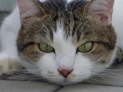 Yang had another cancerous growth below her left eye after the one on her left cheek was removed.