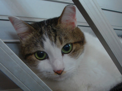g3/12/372012/3/94891035.I5lDURIv.jpg