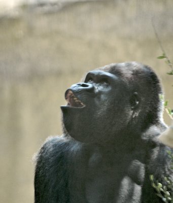 DSC_4720.jpg
