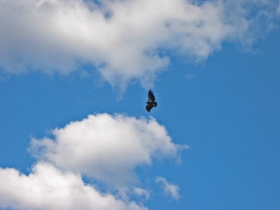 aIMG_0217.jpg