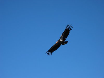 IMG_0149.jpg