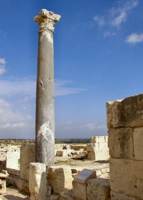 P3251393-1w.jpg