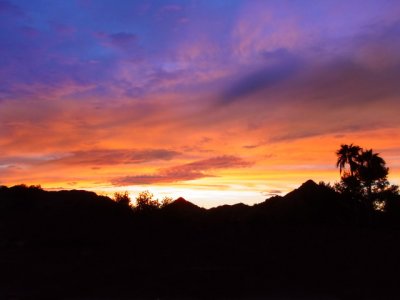 Arizona Sunset