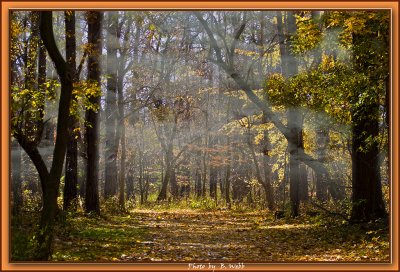 Smoke -Metro Park,