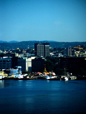 g3/12/445112/3/101549629.1ir6RRXt.jpg