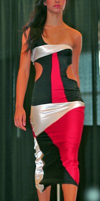 Academy Arts  Fashion Design 2008-