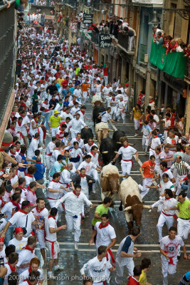 Running of the Bulls 2008