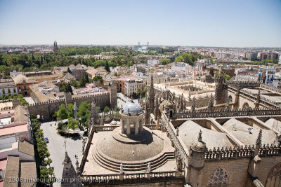 140View from the Bell Tower.jpg
