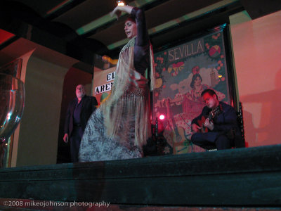 147Traditional Flamenco Dancing.jpg