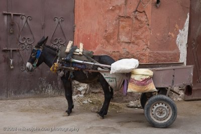 124Donkey Carts are Allowed in the Medina.jpg