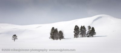 019-Trees in Snow Landscape