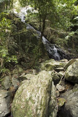 Falls at Daintree Spa