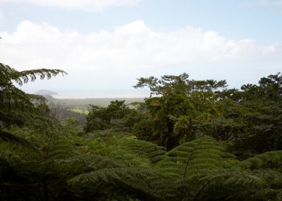 Daintree River Meets the Coral Sea