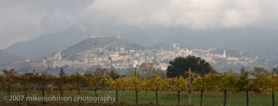 Vines in foreground frame the town of Assisi shrouded in clouds.
