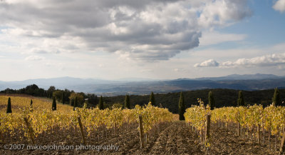 Poggio Antico