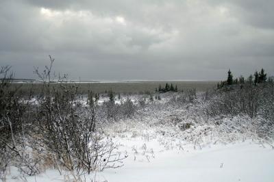 g3/12/504212/3/53279492.PICT8039.jpg
