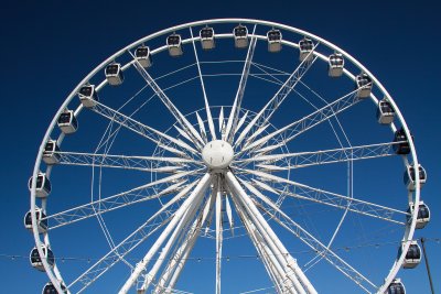 IMG_3930.jpg