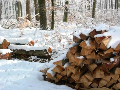 winter wood.jpg