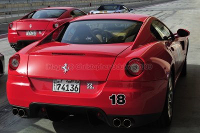 FerrariCars_09_0974ew.jpg