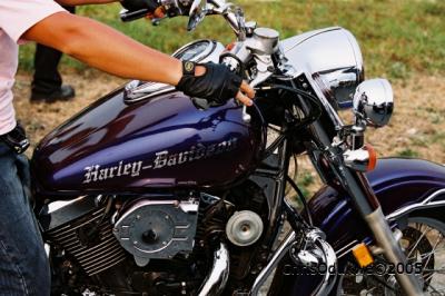 Harley D