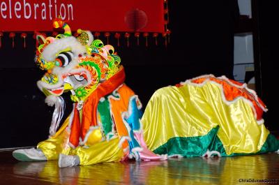 Chinese New Year- Lion Dance