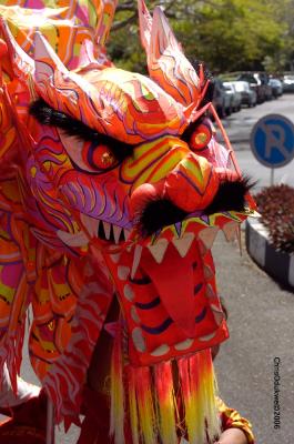 Chinese New Year- Dragon Dance