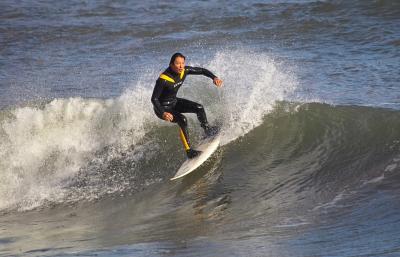 IMG18433x.jpg