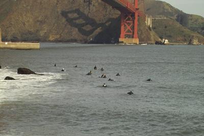 IMG18496.jpg