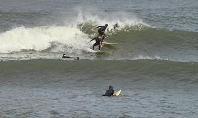IMG18501x.jpg